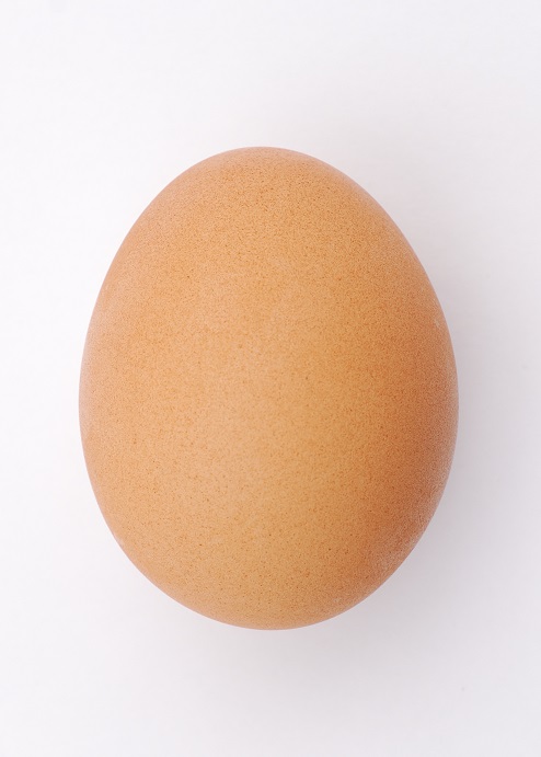 A chicken's egg
