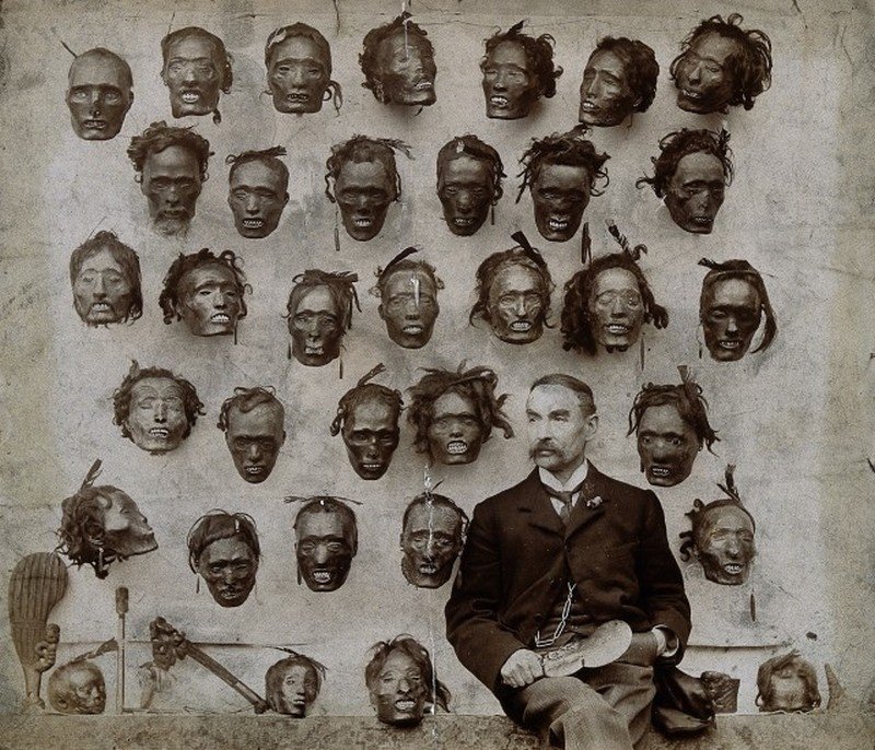 major General Horatio Gordon Robley with his collection of tattooed Maori heads 1895